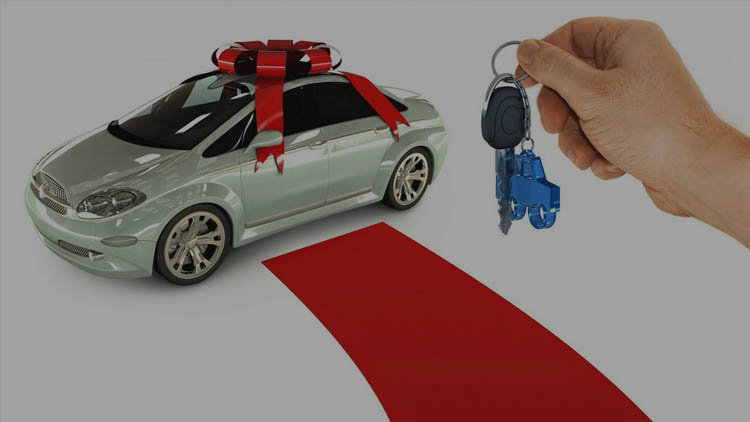 banner-image-1